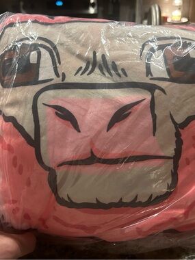Minecraft Blanket and pillow…straight from CinemaCon 2026 - Pink and Beige